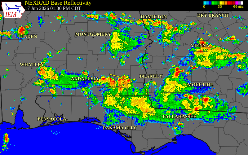 Radar snapshot during the Jun 17, 2026 tornado event near 1 NNE Ewell, Dale County, Alabama, with NWS warning polygons