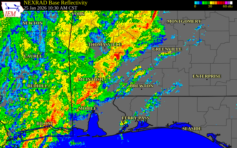 NEXRAD radar during the Sunday, January 25, 2026 storm activity in Washington County, Alabama