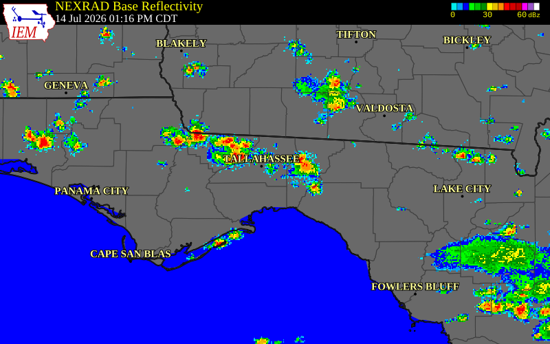 NEXRAD radar during the Tuesday, July 14, 2026 storm activity in Leon County, Florida