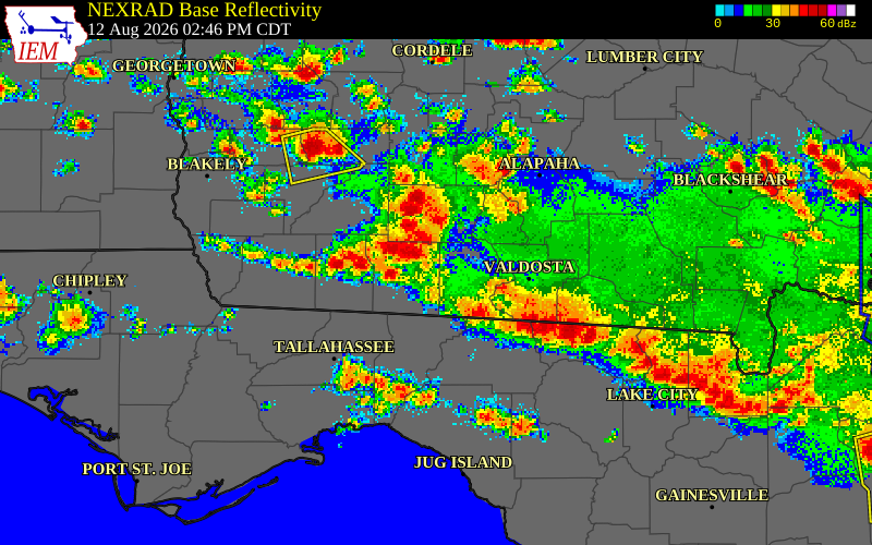 NEXRAD radar during the Wednesday, August 12, 2026 storm activity in Brooks County, Georgia