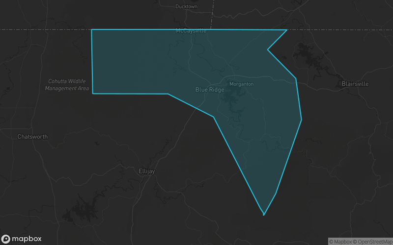 Map of Fannin County, Georgia showing the county boundary and surrounding cities