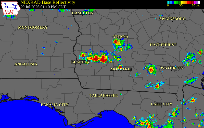 Radar snapshot during the Jul 29, 2026 wind event near Mitchell County, Mitchell County, Georgia, with NWS warning polygons