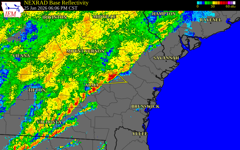 NEXRAD radar during the Sunday, January 25, 2026 storm activity in Tattnall County, Georgia
