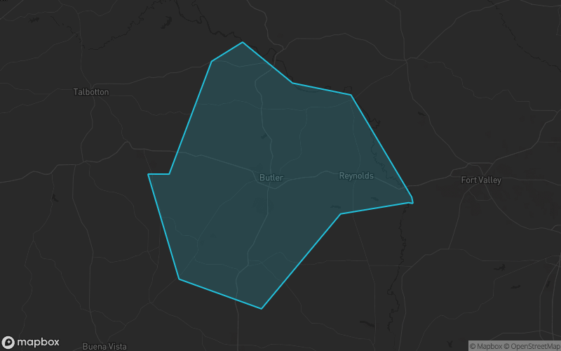 Map of Taylor County, Georgia showing the county boundary and surrounding cities
