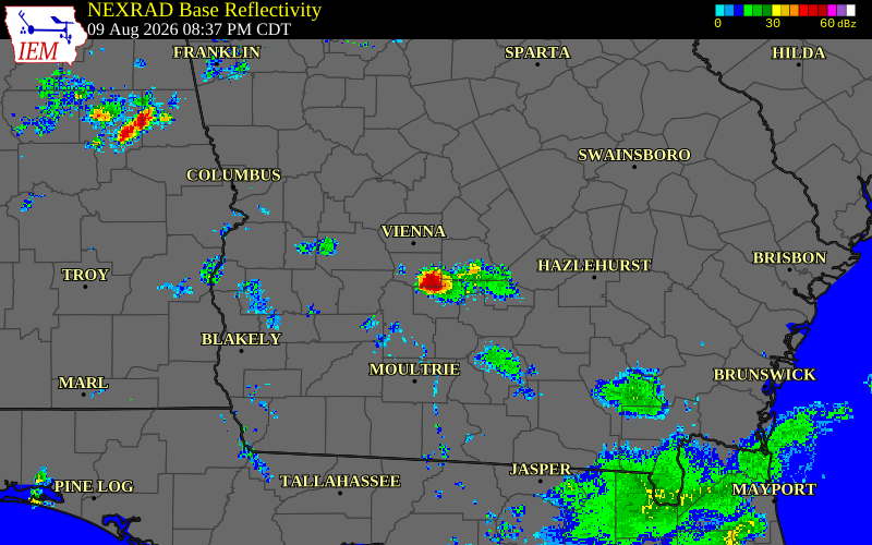 Radar snapshot during the Aug 9, 2026 hail event near Wilcox County, Wilcox County, Georgia, with NWS warning polygons