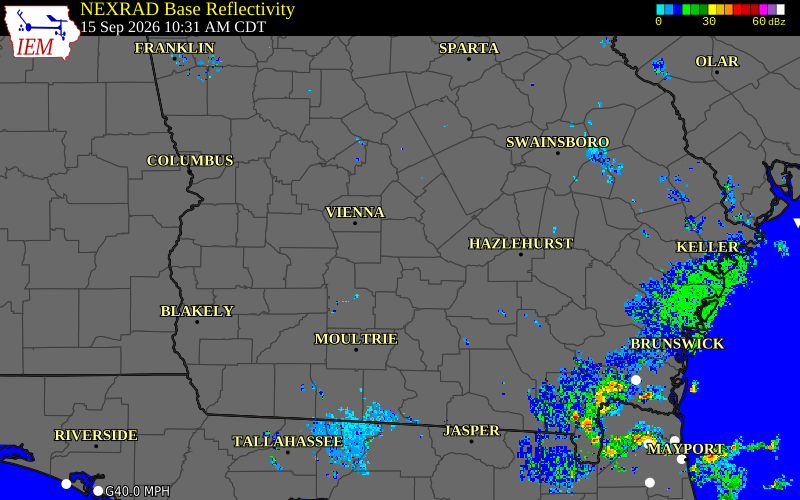 Current NEXRAD radar over Wilcox County, Georgia with recent storm report locations