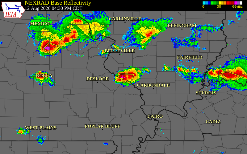 Radar snapshot during the Aug 12, 2026 hail event near 1 SW Ellis Grove, Randolph County, Illinois, with NWS warning polygons