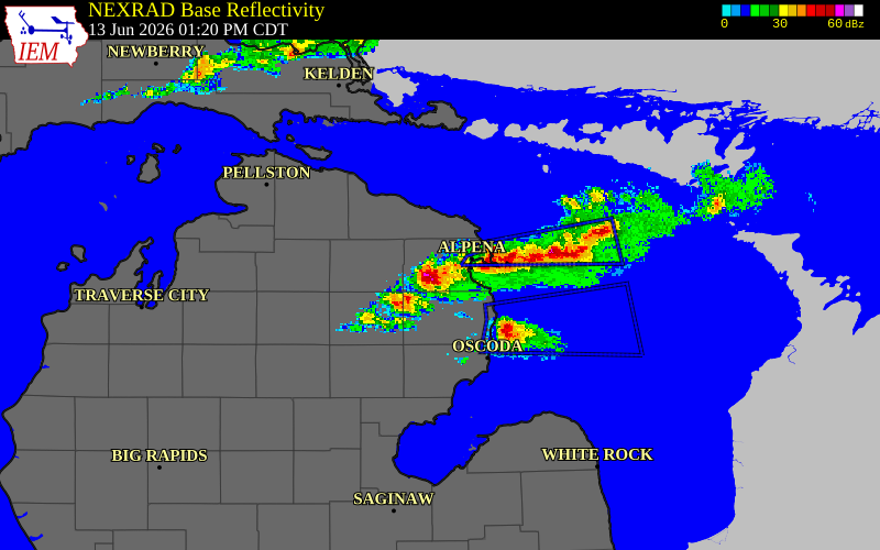 Radar snapshot during the Jun 13, 2026 hail event near 6 ESE Spratt, Alpena County, Michigan, with NWS warning polygons