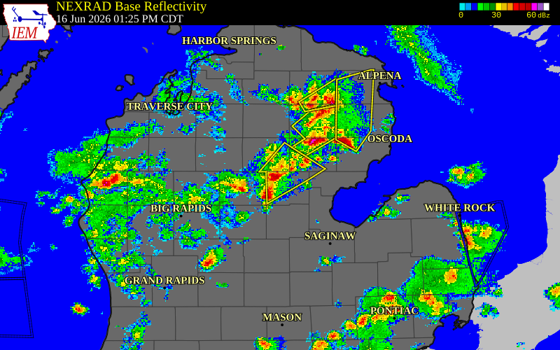 Radar snapshot during the Jun 16, 2026 hail event near 4 NW Hockaday, Gladwin County, Michigan, with NWS warning polygons