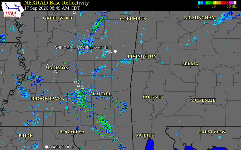 Current NEXRAD radar over Lauderdale County, Mississippi with recent storm report locations