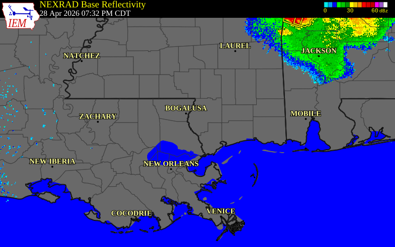 Radar snapshot during the Apr 28, 2026 hail event near 4 WSW Mcneil, Pearl River County, Mississippi, with NWS warning polygons