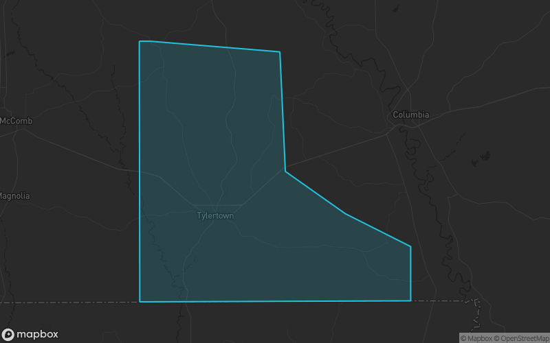 Map of Walthall County, Mississippi showing the county boundary and surrounding cities