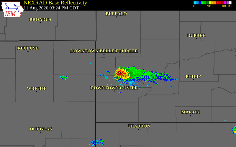 Radar snapshot during the Aug 11, 2026 hail event near 1 NNW Nemo, Lawrence County, South Dakota, with NWS warning polygons