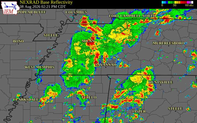 Radar snapshot during the Aug 8, 2026 wind event near Henderson County, Henderson County, Tennessee, with NWS warning polygons