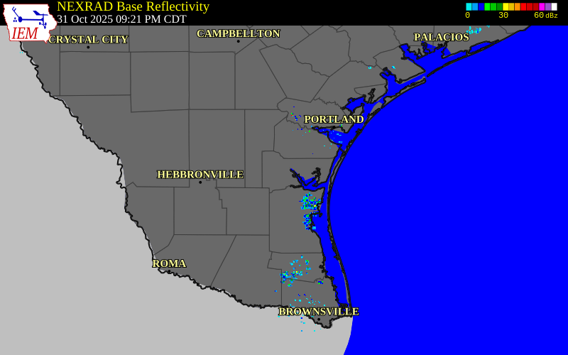Radar snapshot during the Oct 31, 2025 hail event near 4 SSE Ricardo, Kleberg County, Texas, with NWS warning polygons