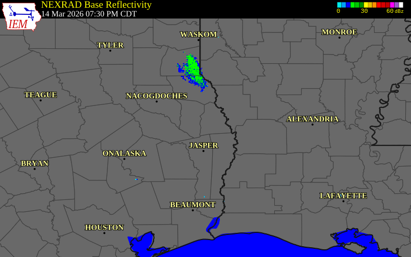 Radar snapshot during the Mar 14, 2026 hail event near Pineland, Sabine County, Texas, with NWS warning polygons